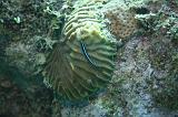 2008-05-19 17-00-14 H